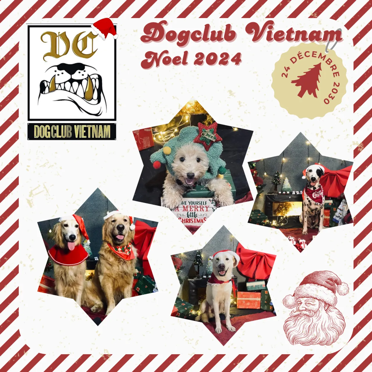 Noel ở Dogclub Vietnam 2024